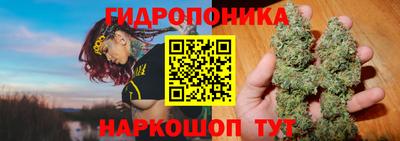 гидропоника Лесосибирск